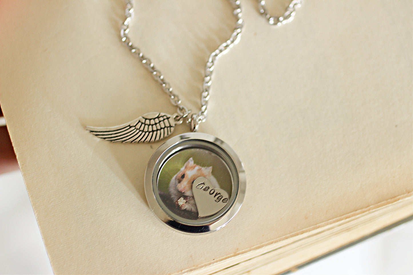 Pet Hamster Necklace, Pet Loss Necklace, Guinea Pig Keepsake, Pet rat memorial gift, Cremation Jewelry, Hamster Lover Gift, Keepsake Locket