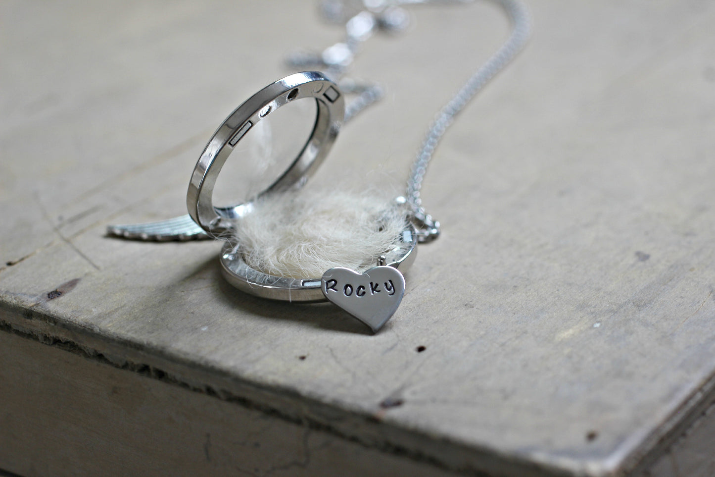 Pet Memorial Gift, Pet Hair Memorial, Locket Necklace With Photo, Memorial Necklace, Pet loss Gifts, Dog Hair Keepsake, Memorial Jewelry, Pet Fur Keepsake