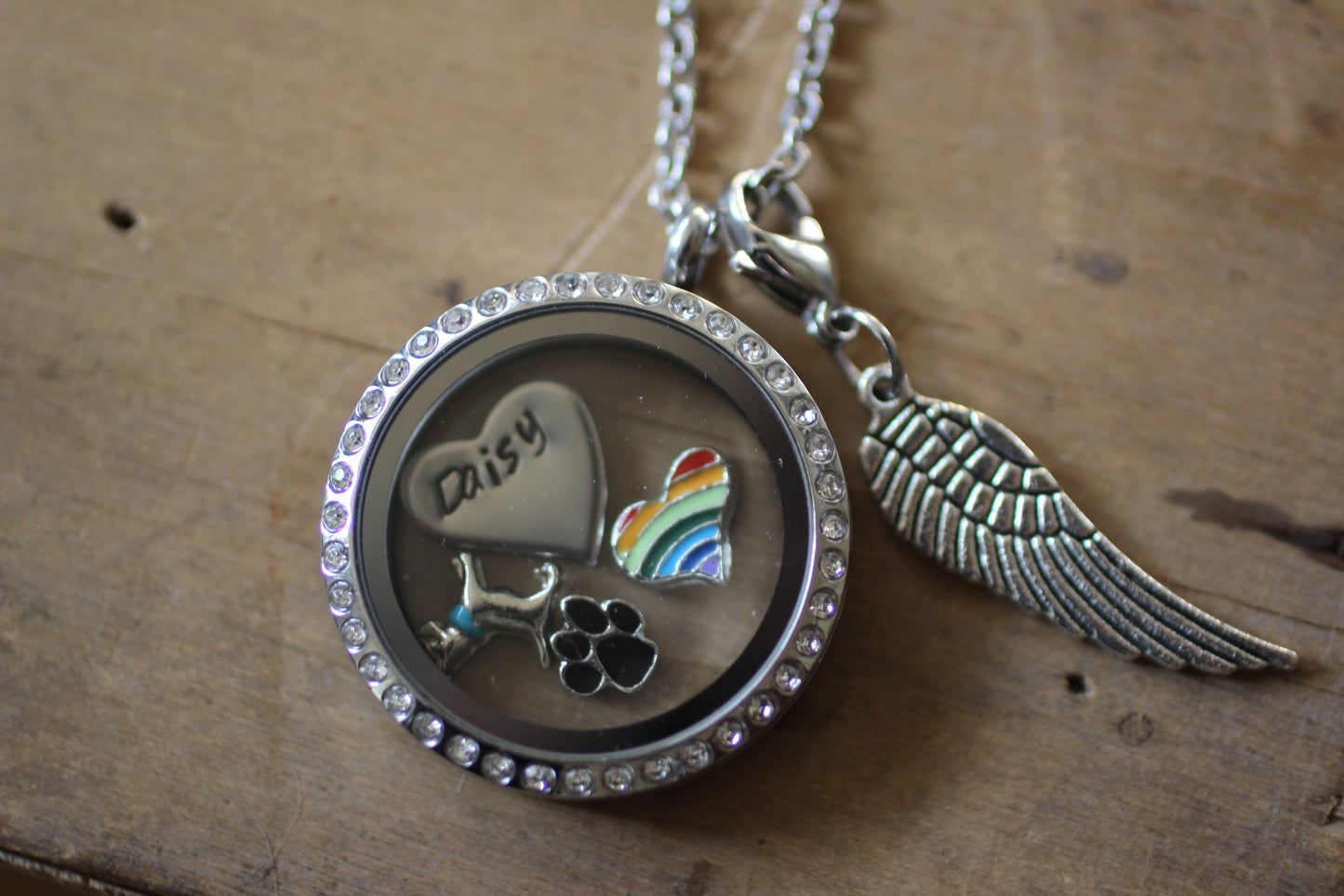 Pet loss Memory Locket Necklace, Lock of Hair Necklace, Pet memorial gift, Loss of a Pet, Czech Crystal Glass Floating Locket Fur Ashes Dog Keepsake