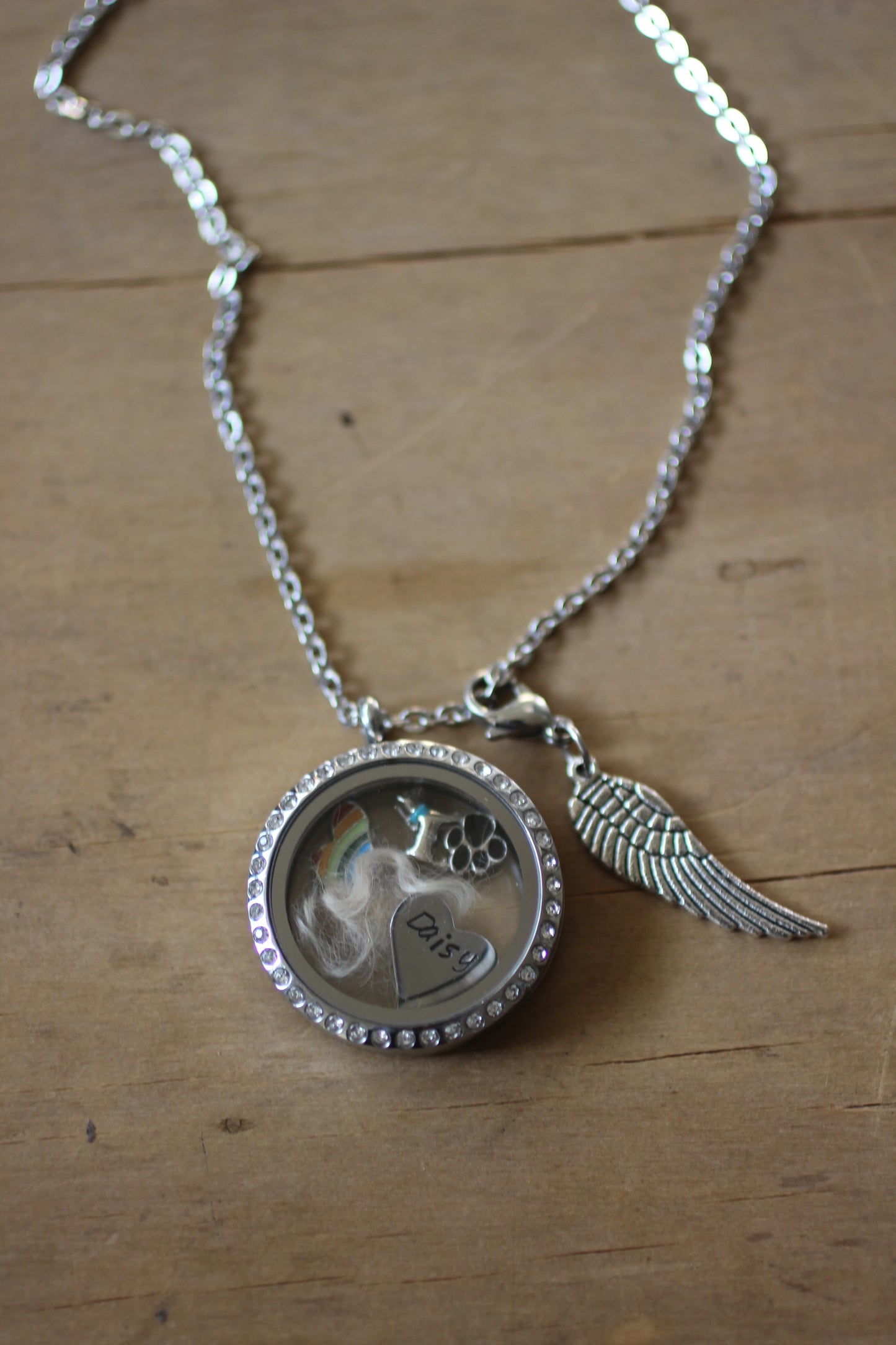 Pet loss Memory Locket Necklace, Lock of Hair Necklace, Pet memorial gift, Loss of a Pet, Czech Crystal Glass Floating Locket Fur Ashes Dog Keepsake