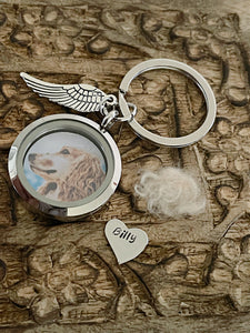 Pet Loss Gifts, Pet Memorial Gift Keychain, Pet Hair locket, Cremation Ashes Keyring, Pet Fur Memorial Gift, Dog Hair keepsake, Cat Key Ring Price: