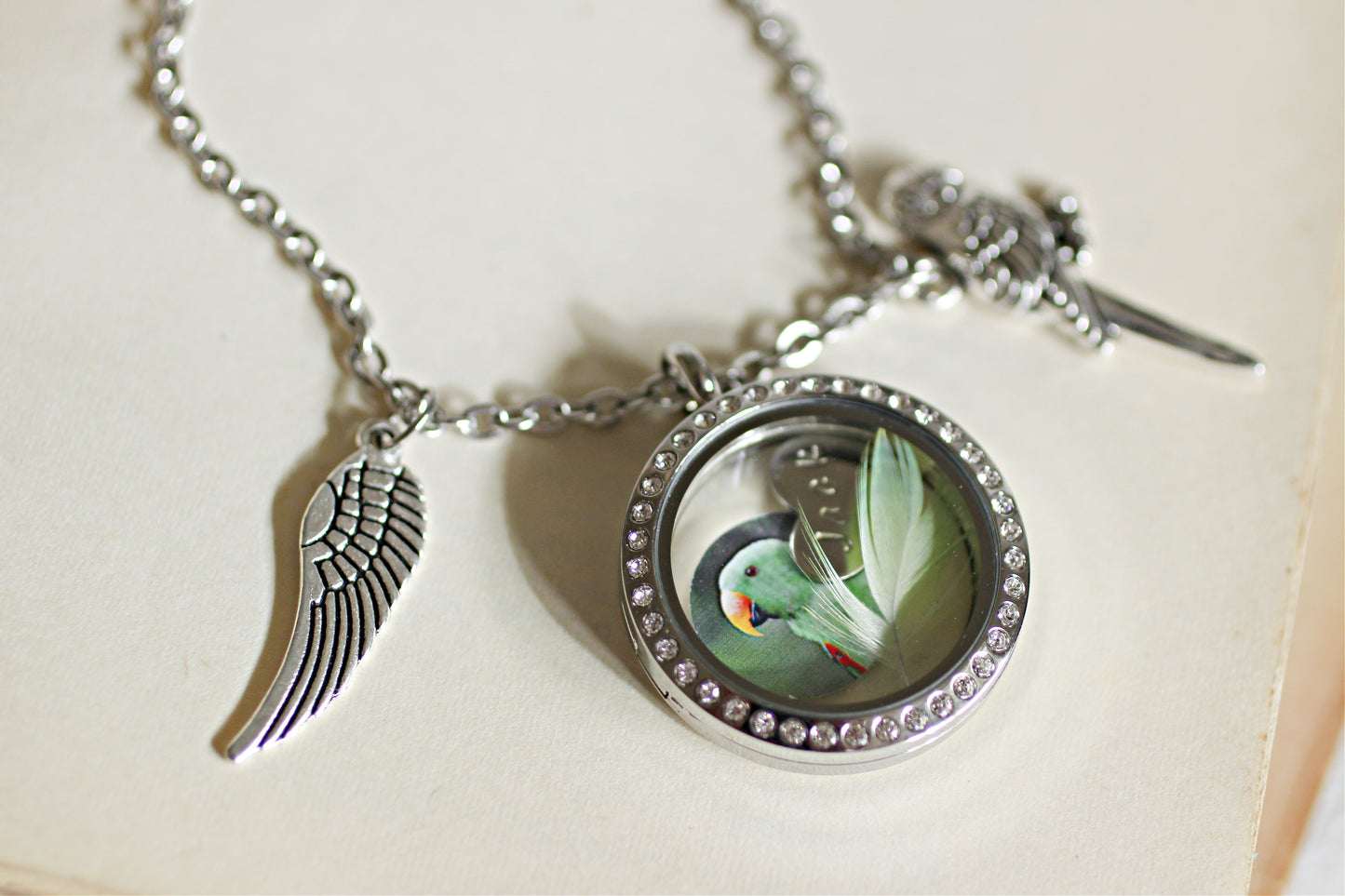Parrot Necklace, Pet Bird Memorial, Parrot Feather Keepsake, Pet memorial gift, Memorial Jewelry, Bird Lovers Gift, Glass Locket Keepsake