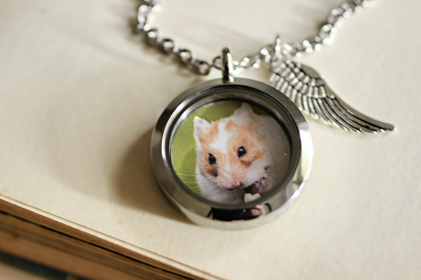 Pet Hamster Necklace, Pet Loss Necklace, Guinea Pig Keepsake, Pet rat memorial gift, Cremation Jewelry, Hamster Lover Gift, Keepsake Locket