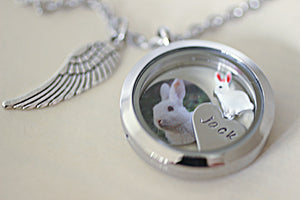 Pet Rabbit Memorial gift, Lock of Hair Keepsake, Rabbit Memorial Necklace, Loss of Pet Gift, Glass Locket Fur Keepsake, Bunny Rabbit Gift Price: