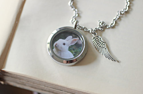 Pet Rabbit Memorial gift, Lock of Hair Keepsake, Rabbit Memorial Necklace, Loss of Pet Gift, Glass Locket Fur Keepsake, Bunny Rabbit Gift Price: