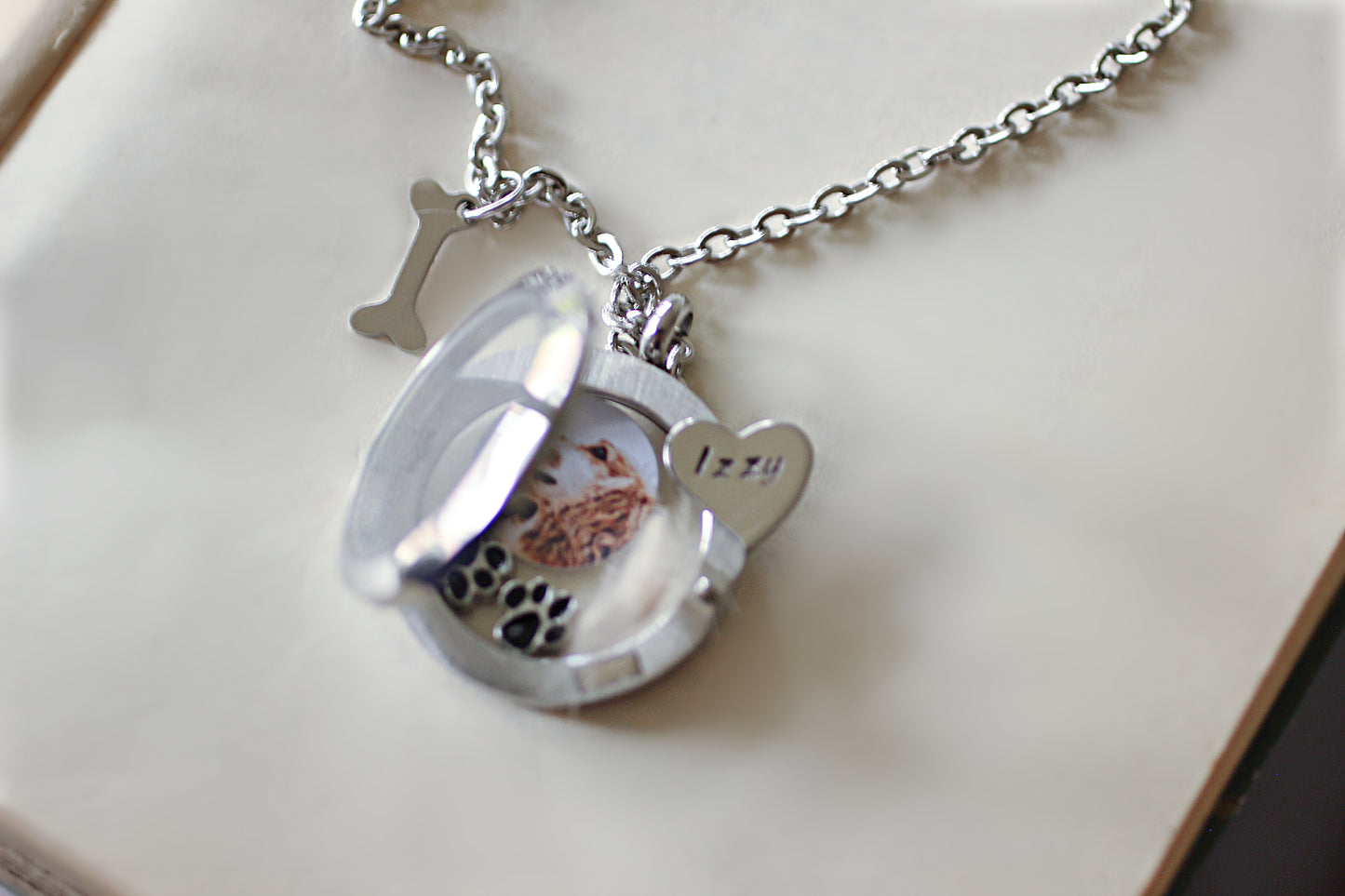 Dog Loss Keepsake for Fur or Ashes, Pet loss Gift, Lock of Hair Necklace, Pet memorial gift, Memorial Jewelry, Glass Cremation Locket Urn