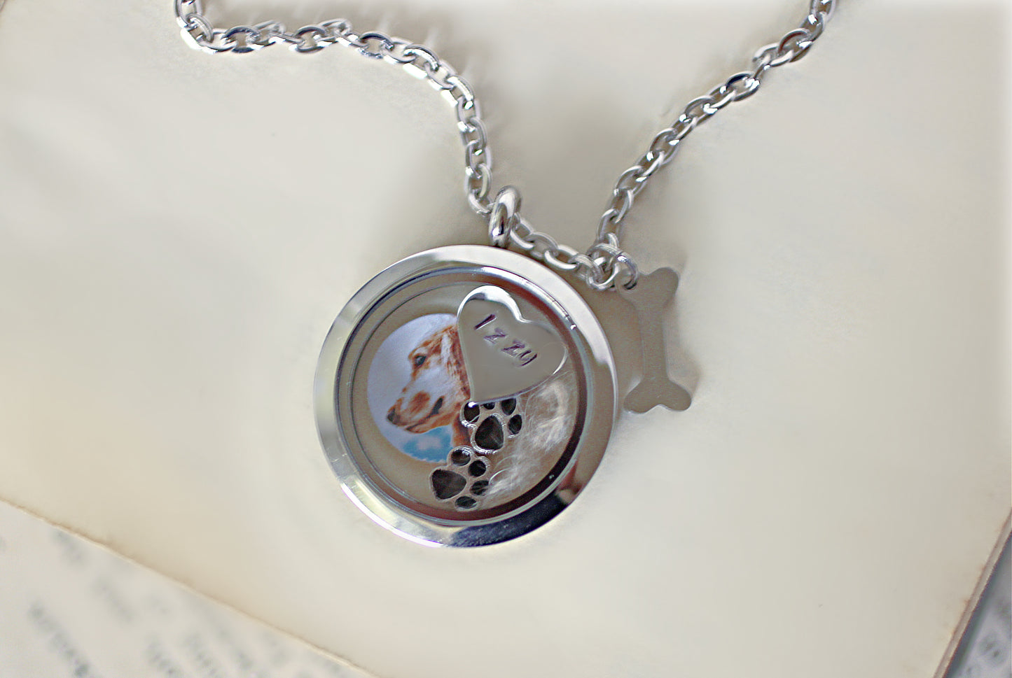 Dog Loss Keepsake for Fur or Ashes, Pet loss Gift, Lock of Hair Necklace, Pet memorial gift, Memorial Jewelry, Glass Cremation Locket Urn