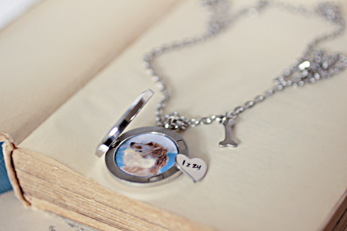 Dog Loss Keepsake for Fur or Ashes, Pet loss Gift, Lock of Hair Necklace, Pet memorial gift, Memorial Jewelry, Glass Cremation Locket Urn