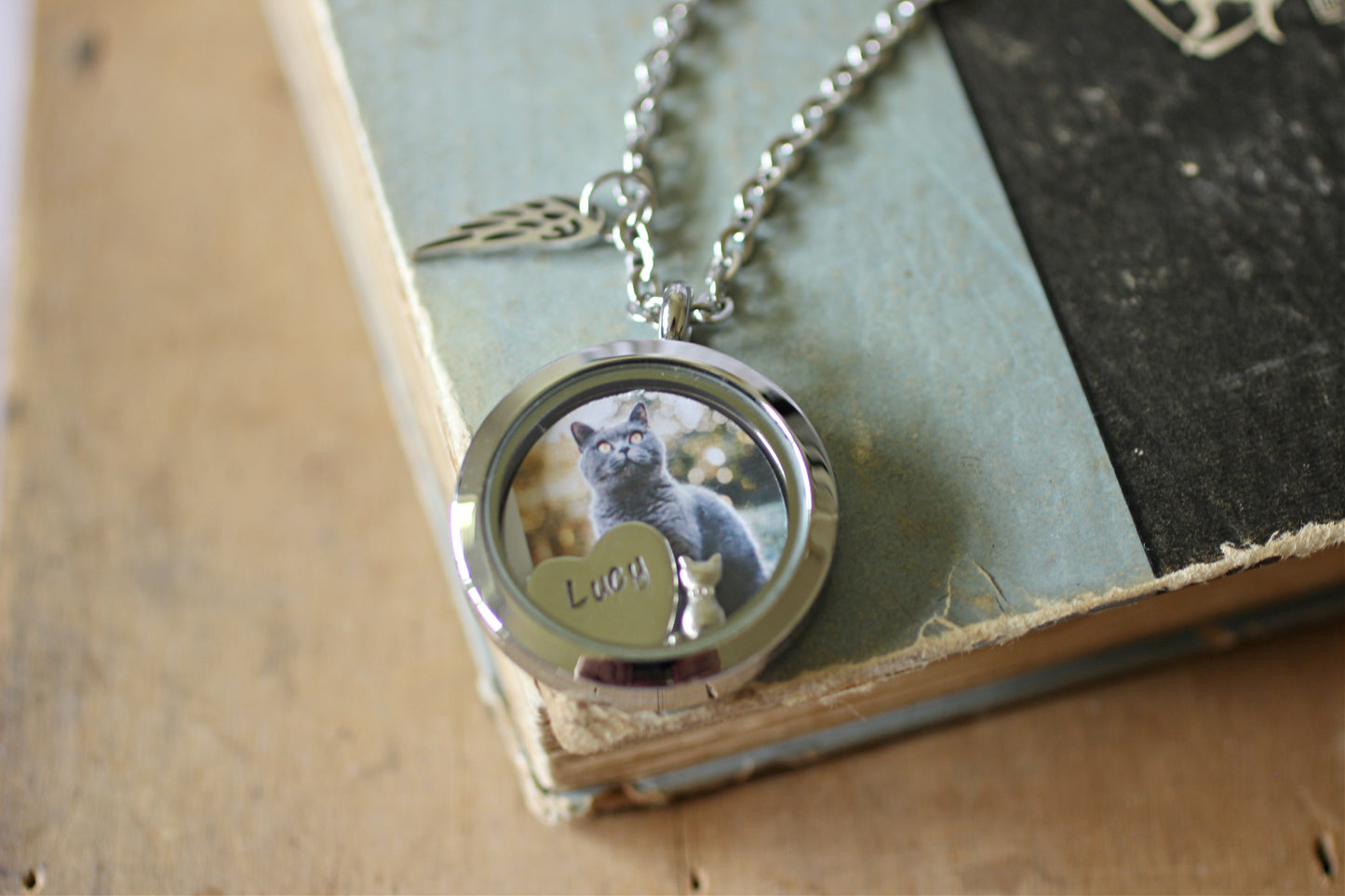 Cat Loss Necklace, Cat Fur Necklace, Cat Fur memorial gift, Cremation Necklace, Memorial Jewelry, Cat Memory Locket Keepsake, Cat Owner Gift